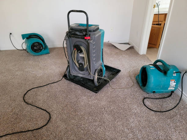 Best Professional water damage repair  in Goldstream, AK