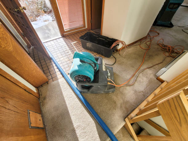 Best Water damage restoration near me  in Goldstream, AK