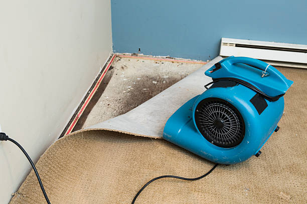 Best Flood restoration services  in Goldstream, AK